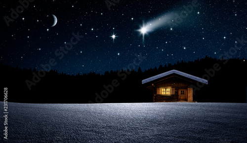 Weihnachtbaum im Nächtlichen Winterwald