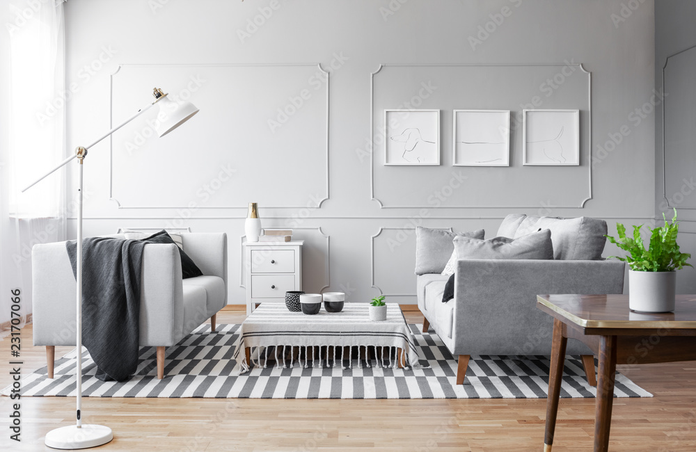 Fototapeta premium Plant on wooden table in living room interior with posters and grey couches on carpet. Real photo