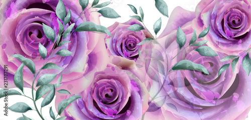 Purple roses watercolor Vector banner. Beautiful vintage pastel colors floral decor posters