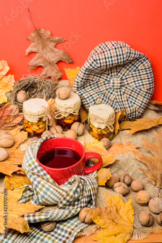 Fall season to do list concept. Mug cozy aromatic tea beverage in scarf and treats. Mug of tea surrounded by scarf red background with fallen maple leaves and walnuts. Cozy autumnal atmosphere