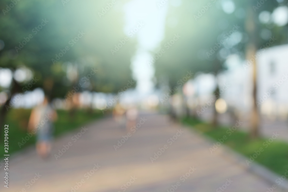 Park alley.Abstract evening light blur blinking background. Soft focus. Park alley.Abstract evening light blur blinking background. Soft focus.