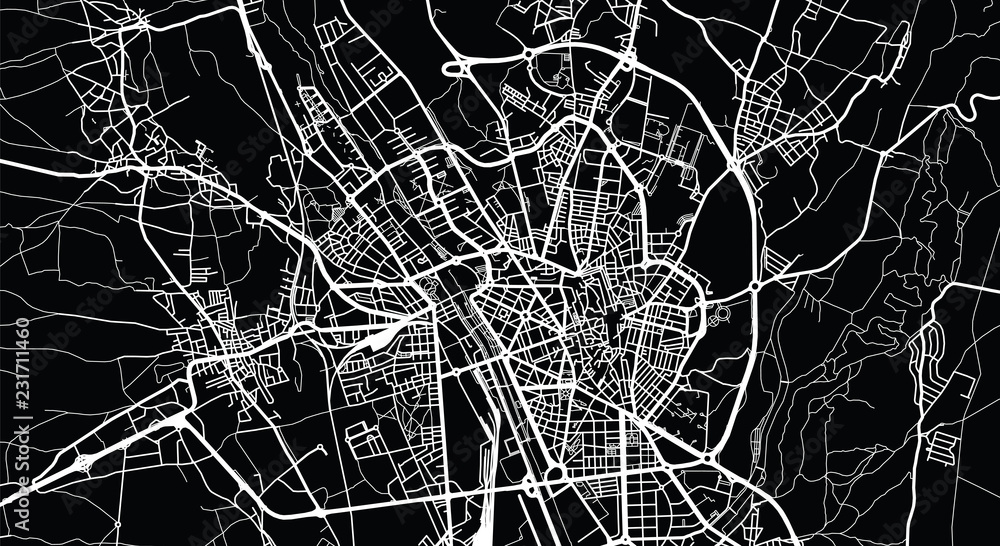 Fototapeta Urban vector city map of Leon, Spain