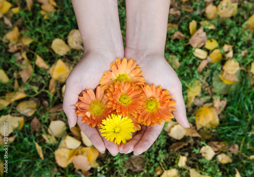 Girl holding in her hands autumn flowers with colorful background