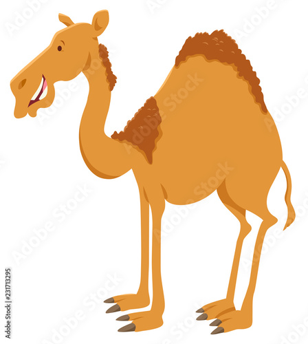 dromedary camel cartoon animal character