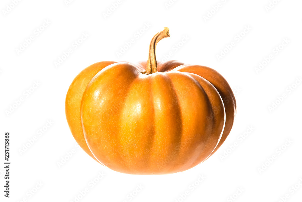 Obraz premium Ripe pumpkin closeup, isolated on white background