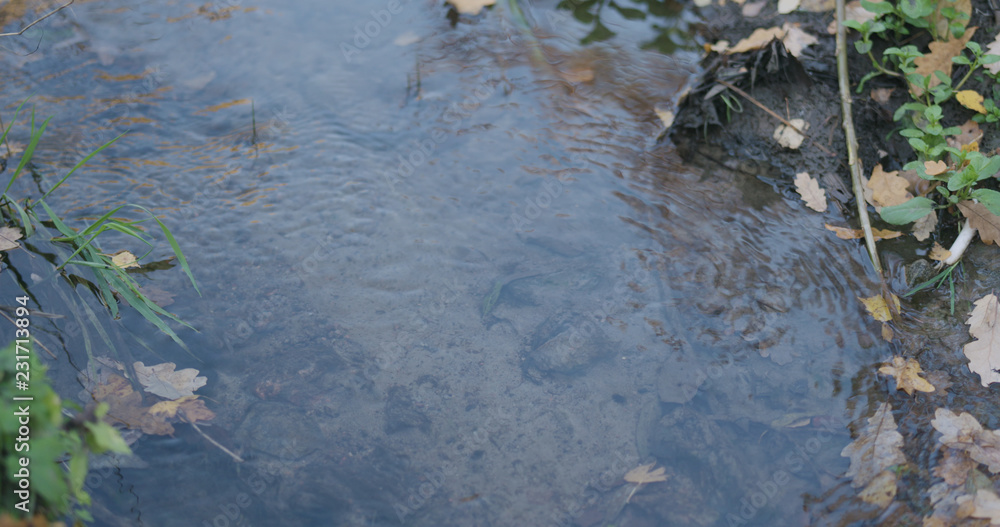 closeup of water stream in autumn park closeup of water stream in autumn park