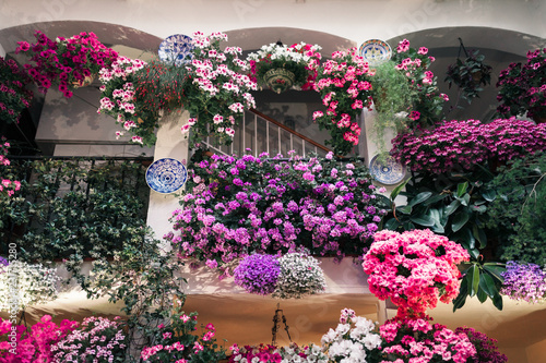Typical andalusian courtyard in Cordoba, Andalusia Spain