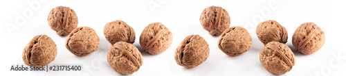 panorama large walnuts
