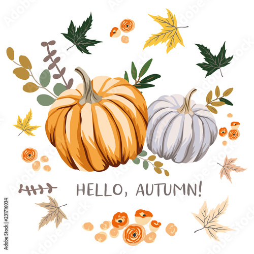 Hello Autumn design template print with orange, gray pumpkins, maple leaves. Vector Halloween illustration. October harvest background. Organic vegetable garden food. Nature design. Fall season