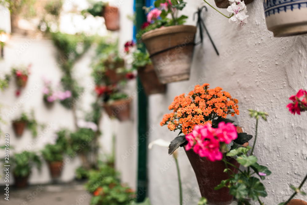 Naklejka premium Typical andalusian courtyard in Cordoba, Andalusia Spain