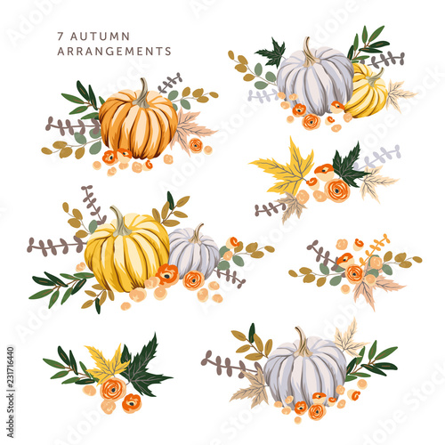 Autumn arrangements with orange, gray pumpkins, maple leaves. Vector illustration. October harvest background. Organic vegetable garden food. Nature design. Fall season elements. Thanksgiving day