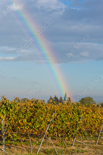 Regenbogen auf Kirchturmspitze, im Vordergrund Weinreben photo