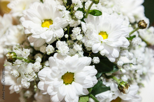 Margerite in fiore su decorazione floreale con Gypsophila