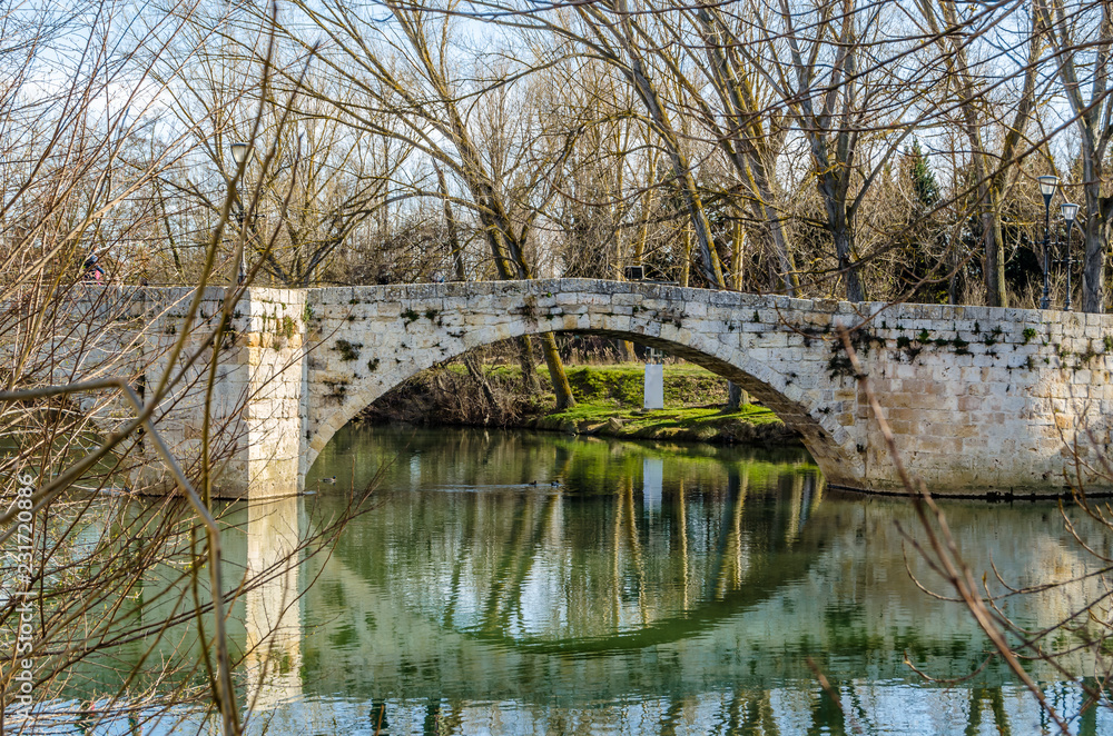Fototapeta premium Old stone bridge in the city of Palencia, Spain