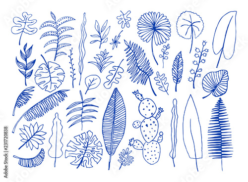 Vector set of bright tropical plants. Colorful hand-drawn Leaves, Inflorescences, Flowers. Blue  color