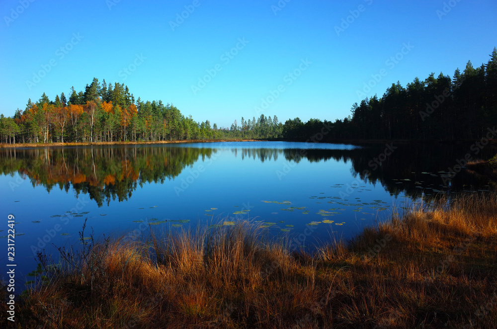 Nature of Sweden in autumn, Calm lake Dodtjarnen with forest reflection, Peaceful outdoor image