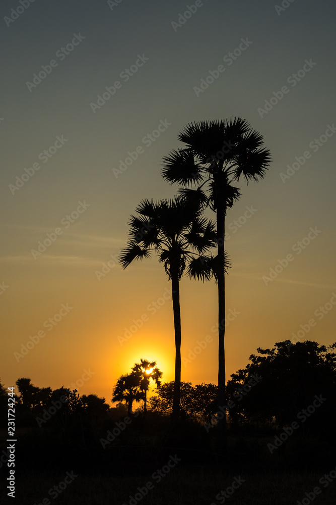 Fototapeta premium Kambodscha - Sonnenuntergang bei Siem Reap