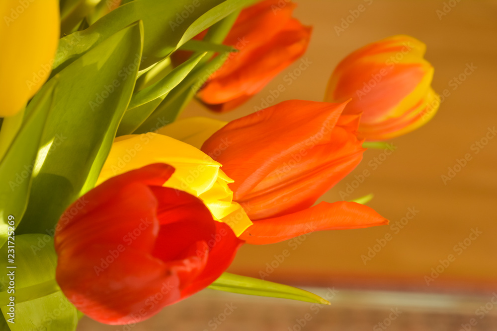 Fototapeta premium Ausschnitt Tulpenblüten ,Tulpenstrauss