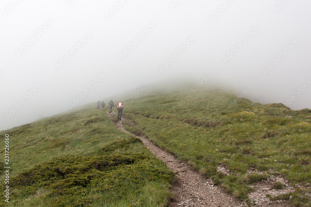 Hiker in mountains 