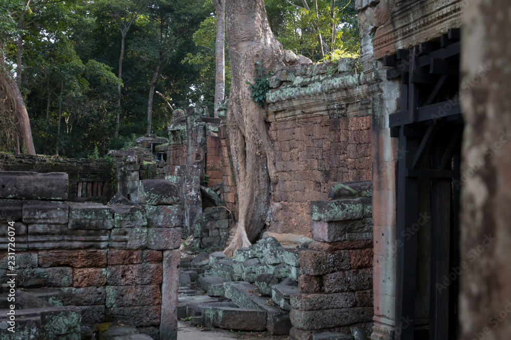 angkor wat angkor wat