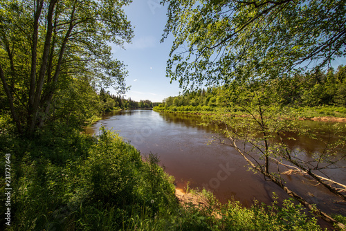 calm river with reflections of trees in water in bright green foliage in summer