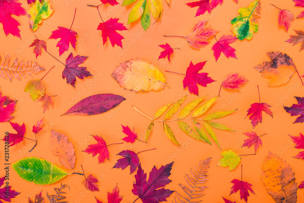 Top view Autumn background with fallen different multicolor leaves - green, yellow, orange, red on textured orange paper. Bright backdrop made of foliage. Muted colors. Selective focus. Top view Autumn background with fallen different multicolor leaves - green, yellow, orange, red on textured orange paper. Bright backdrop made of foliage. Muted colors. Selective focus.