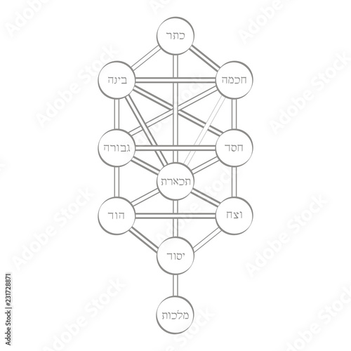 vector icon with tree of life Kabbalah symbol for your design
