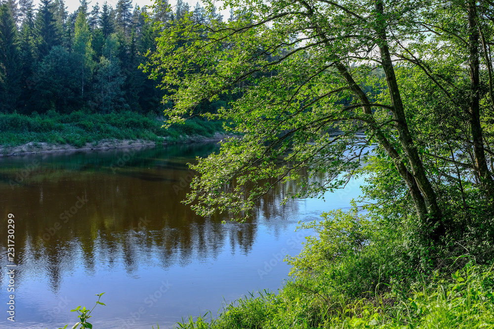 calm river with reflections of trees in water in bright green foliage in summer calm river with reflections of trees in water in bright green foliage in summer