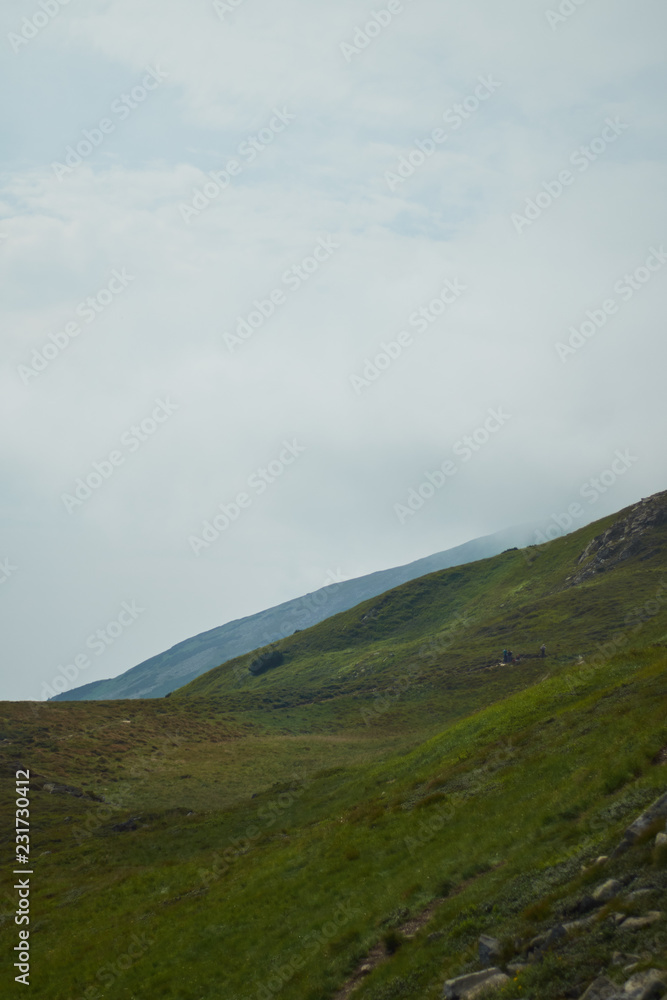 Mountain valley at daytime. Natural summer landscape.Colorful summer landscape in the Carpathian mountains. Mountain valley at daytime. Natural summer landscape.Colorful summer landscape in the Carpathian mountains.