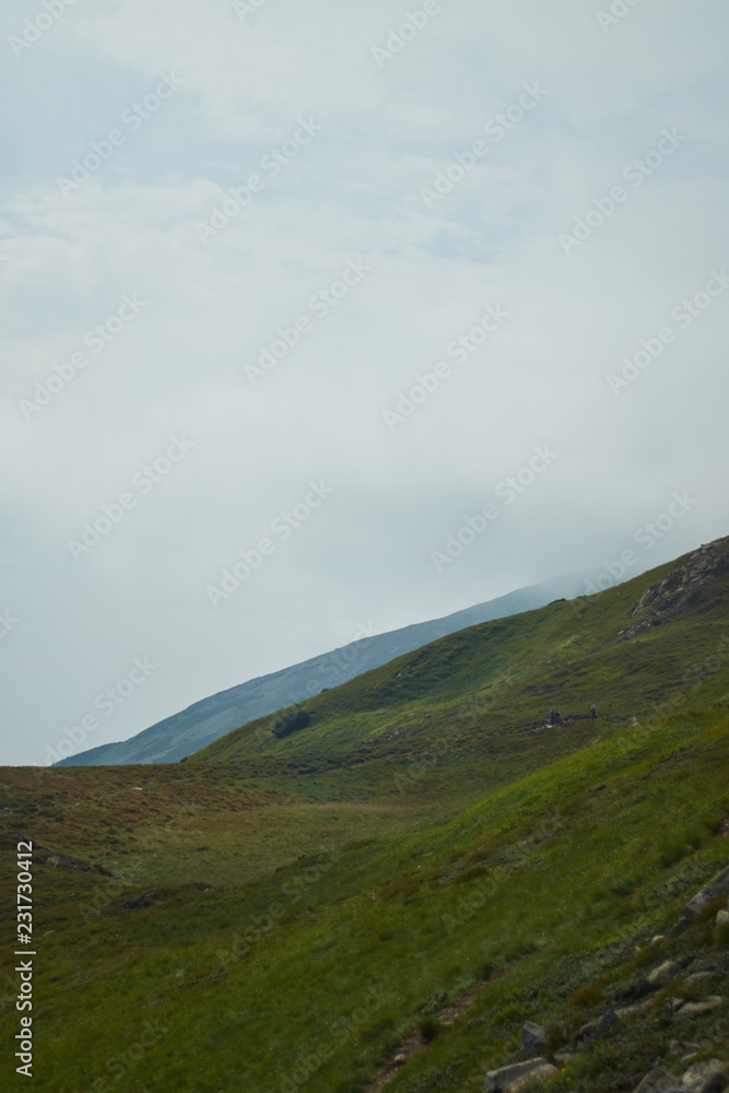 Mountain valley at daytime. Natural summer landscape.Colorful summer landscape in the Carpathian mountains.