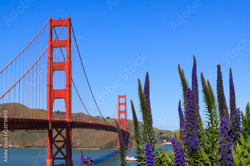 Photography Golden gate bridge in San Francisco on blue sky