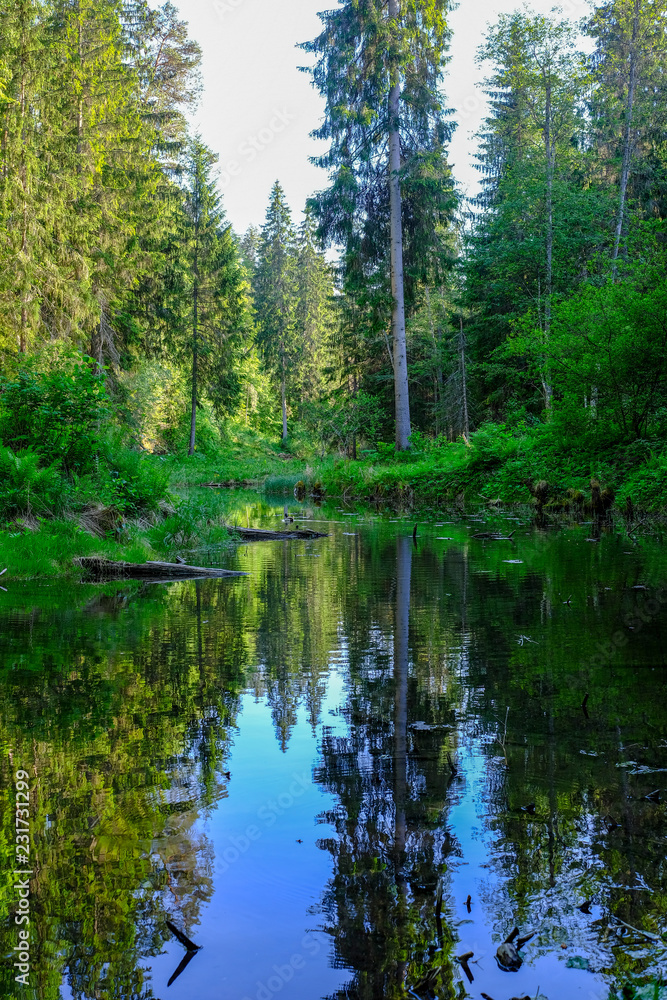 calm river with reflections of trees in water in bright green foliage in summer calm river with reflections of trees in water in bright green foliage in summer