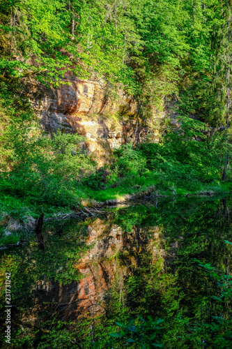 calm river with reflections of trees in water in bright green foliage in summer