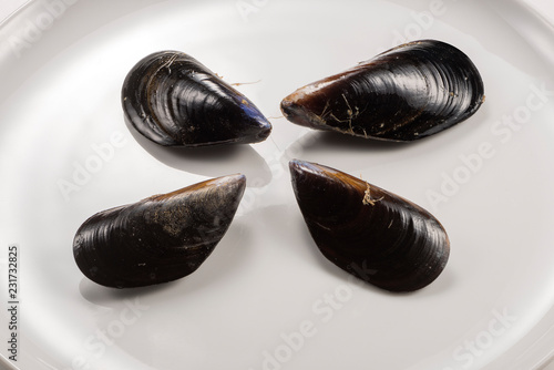 Plate with Four fresh raw mussels