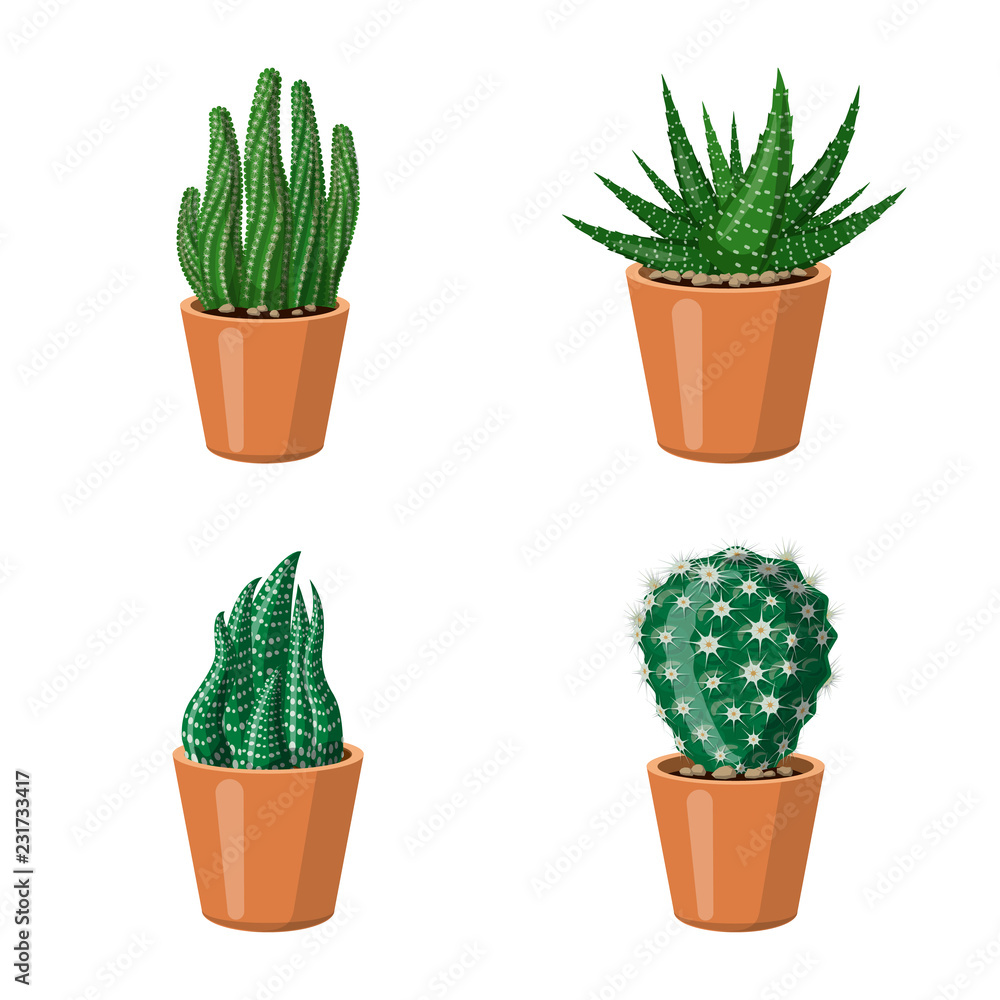 Vector design of cactus and pot icon. Collection of cactus and cacti stock vector illustration. Vector design of cactus and pot icon. Collection of cactus and cacti stock vector illustration.