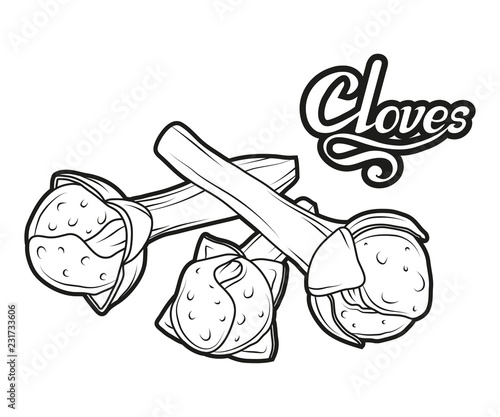 hand drawn cloves plant, spicy ingredient, cloves logo, healthy organic food, spice clove isolated on white background, culinary herbs, label, food, natural healthy food, vector graphic to design