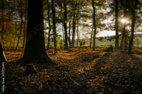 Herbstboden