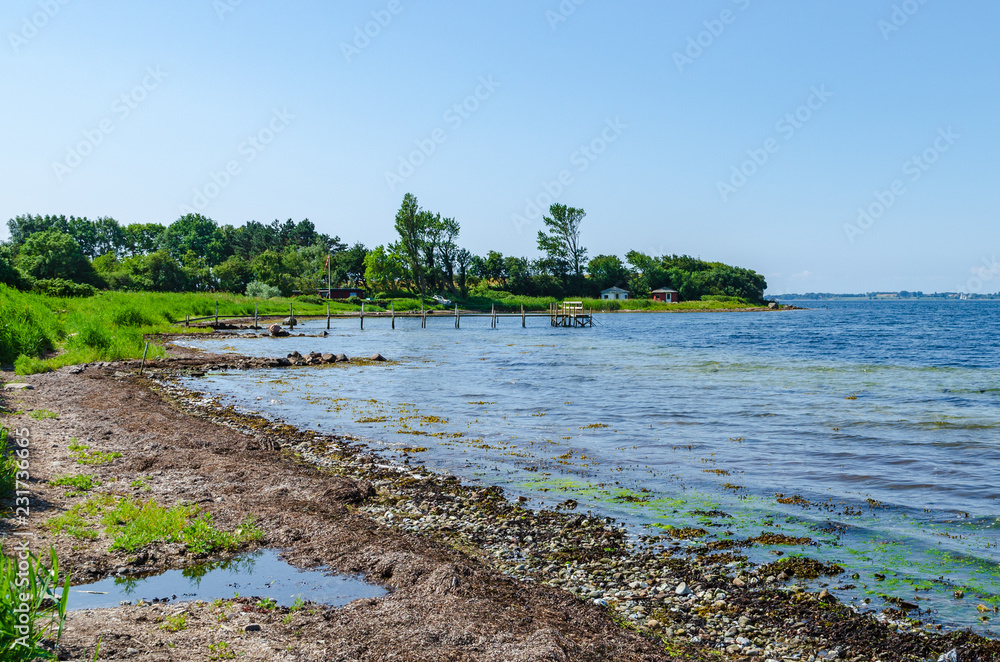 A shore with jetty and a lot of dried seaweed and a few cottages in the background