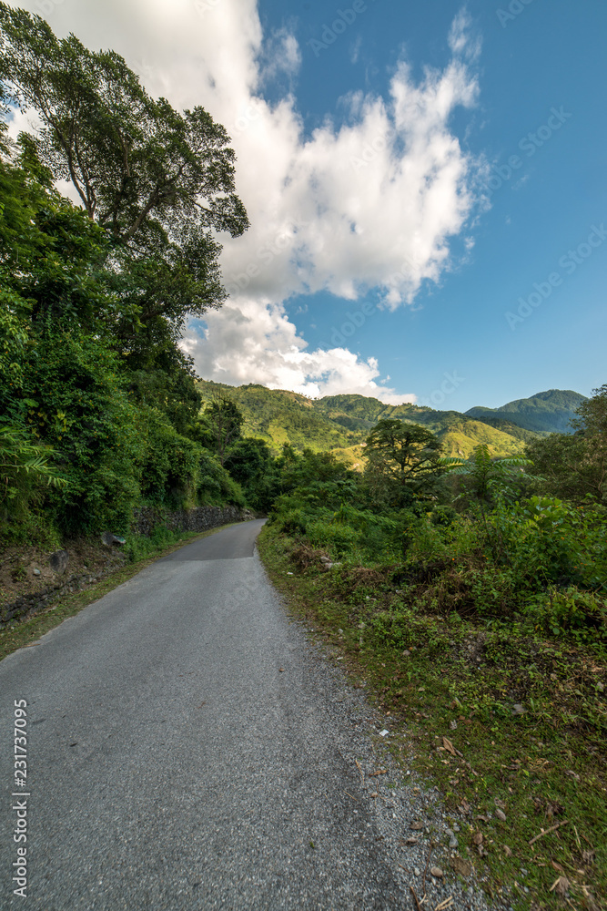 Road in Mountains - Munsyari, Uttarakhand, India