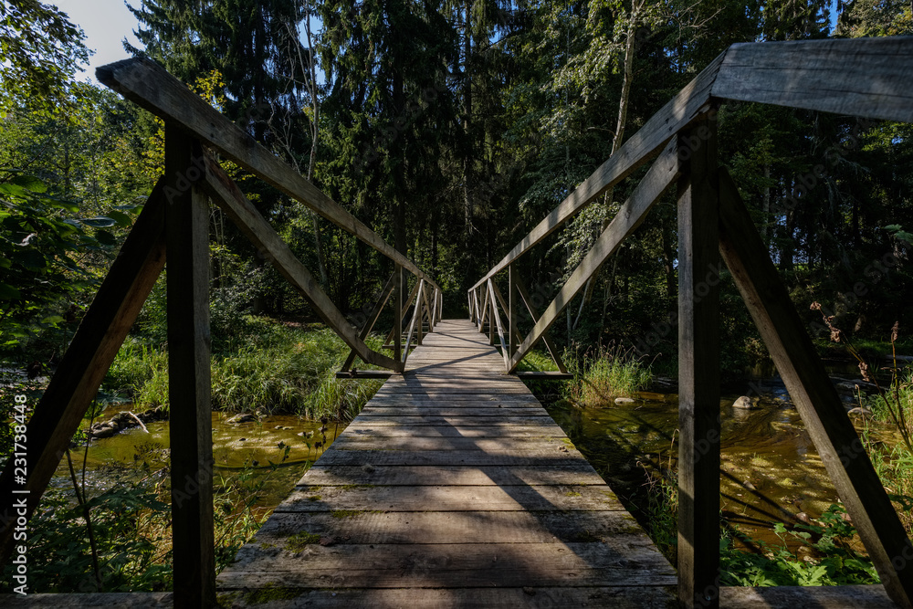 wooden plank bridge over water in forest