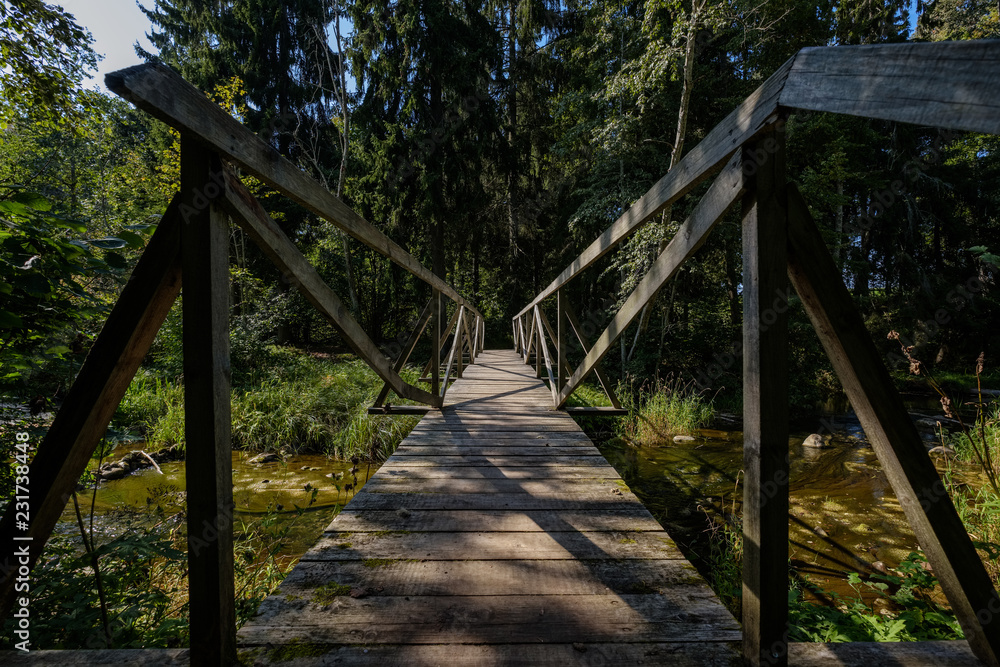wooden plank bridge over water in forest wooden plank bridge over water in forest
