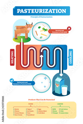 Pasteurization vector illustration. Process and products examples scheme.