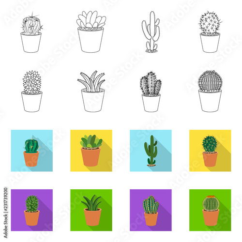 Vector design of cactus and pot logo. Collection of cactus and cacti stock vector illustration.