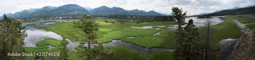 Wetlands panorarma with mountain backdrop