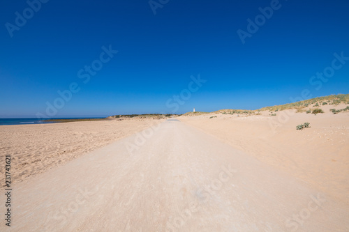 lonely sand track to Trafalgar Cape in Cadiz