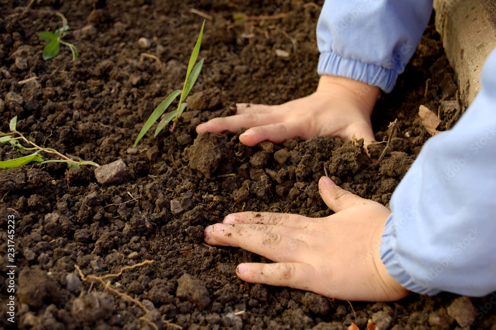 Children planting Children planting