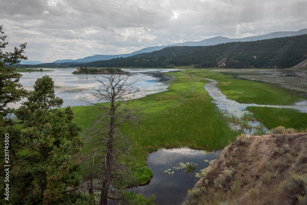 wetlands landscape wetlands landscape