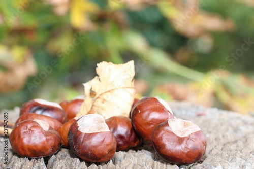 chestnuts on wooden background