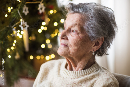 A portrait of a senior woman in wheelchair at home at Christmas time.