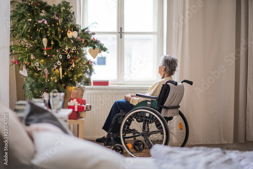 A rear view of a senior woman in wheelchair at home at Christmas time. photo